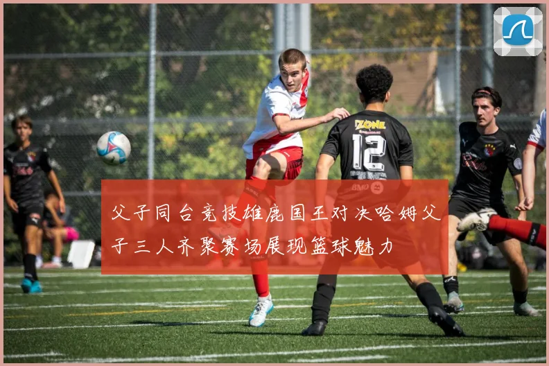 父子同台竞技雄鹿国王对决哈姆父子三人齐聚赛场展现篮球魅力