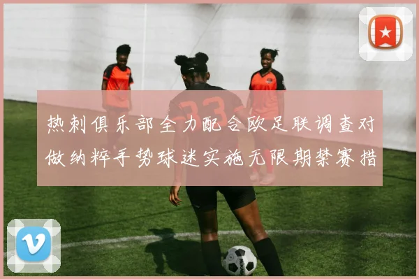 热刺俱乐部全力配合欧足联调查对做纳粹手势球迷实施无限期禁赛措施