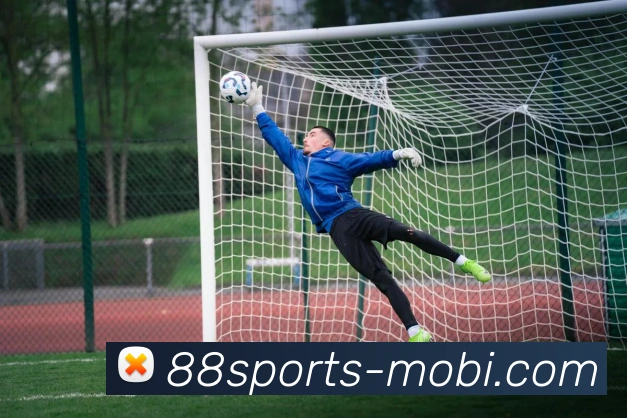 88体育APP 封面图